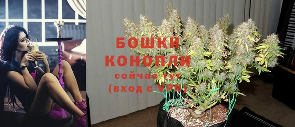 стаф Остров