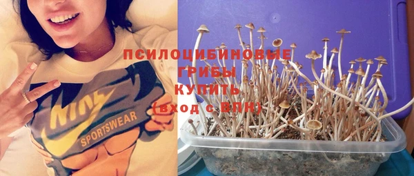 стаф Остров