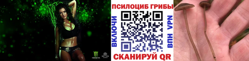 Галлюциногенные грибы MAGIC MUSHROOMS  Купить закладки  Свирск 